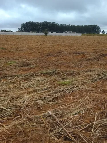 TERRENO INDUSTRIAL EM SAO GOTARDO MG