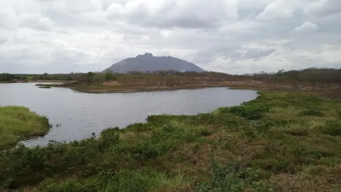 Fazenda em Santa Quitéria - 348ha