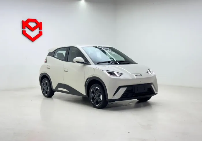BYD Dolphin Mini (Elétrico) 2027