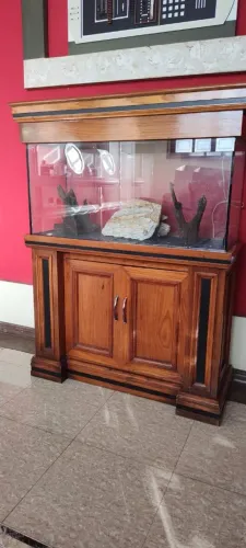 Aquário com Móvel de Madeira