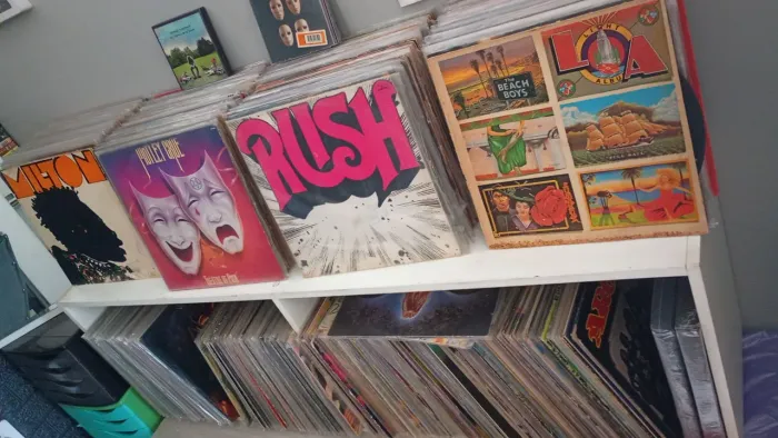 Discos De Vinil