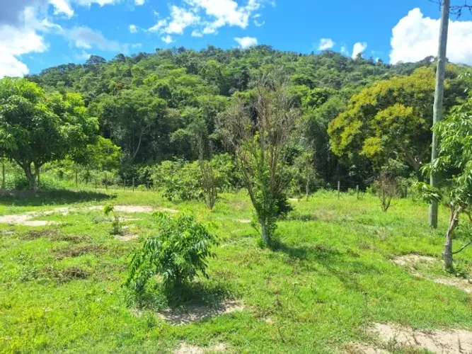 Terreno Empastado, Fazenda c/ casa Campanário-MG (484.000 m2) Valor: R$480.000,00