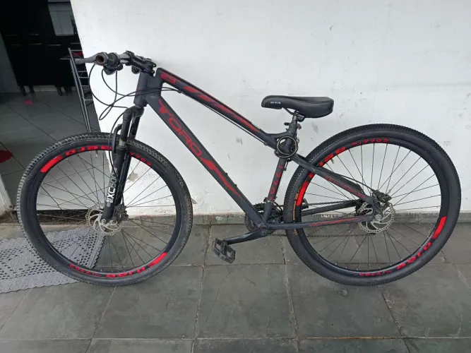 BIKE ARO 29