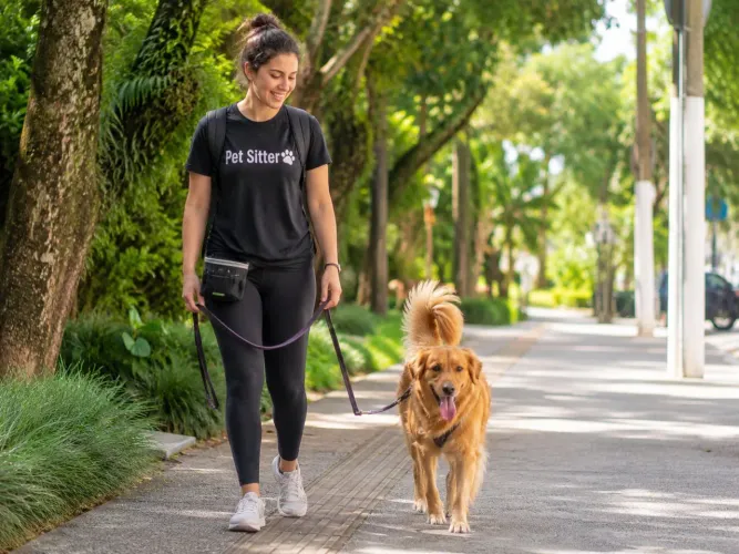 Passeio com seu cachorro | Dog walker | Santo André