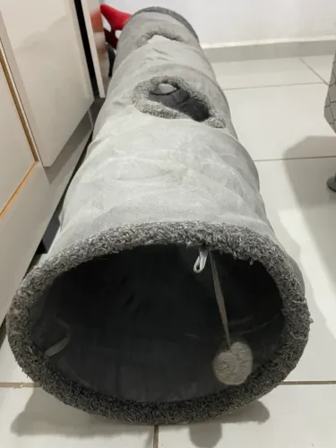 Túnel para gato