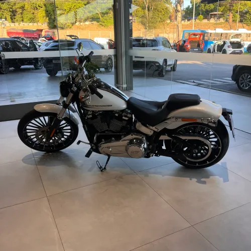 H-D SOFTAIL BREAKOUT