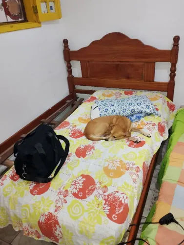 VENDO CAMA DE ANGELIM, 3 MESES DE USO, NOVINHA.