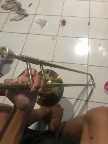 Vendo trombone de vara, da marca Michael