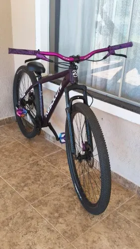 Quandro de bike absolute