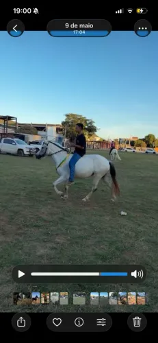 Égua de prova / pista