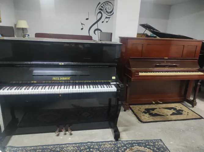 Pianos Acústicos Modelos Especiais 