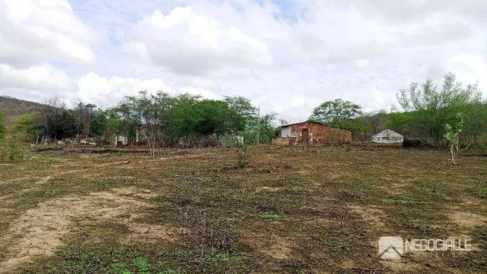 Área, fazenda à venda, 400000 m² por R$ 420.000 - Itatuba - Itatuba/PB