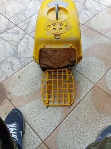 Casinha de gato