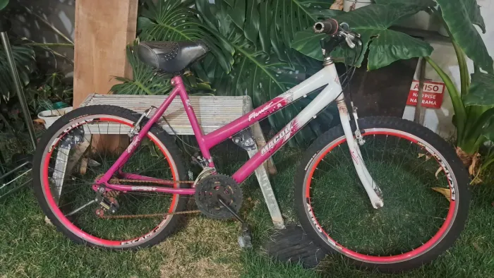 Bicicleta