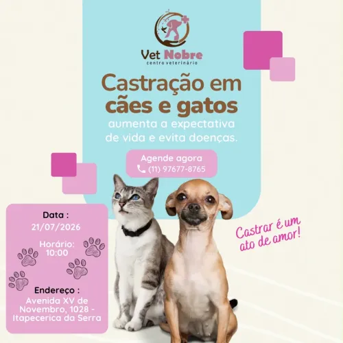 Clínica veterinária