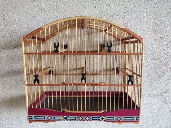 Gaiola de passeio 