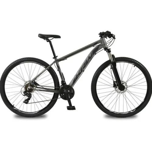 Bicicleta aro 29