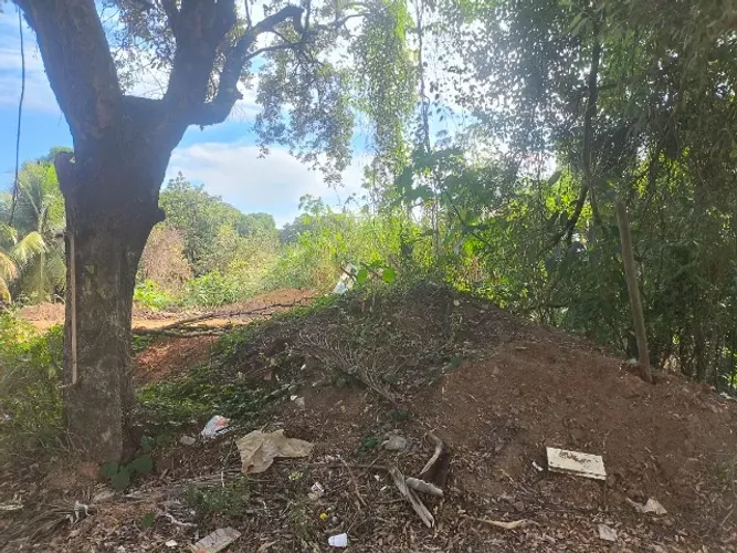 Vendo chácara no bairro Alzira ramos