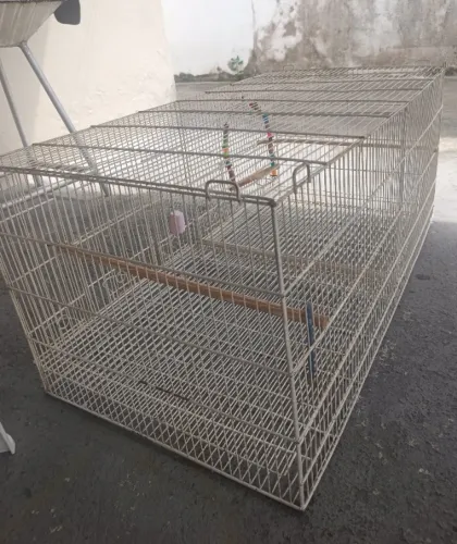 Gaiola 