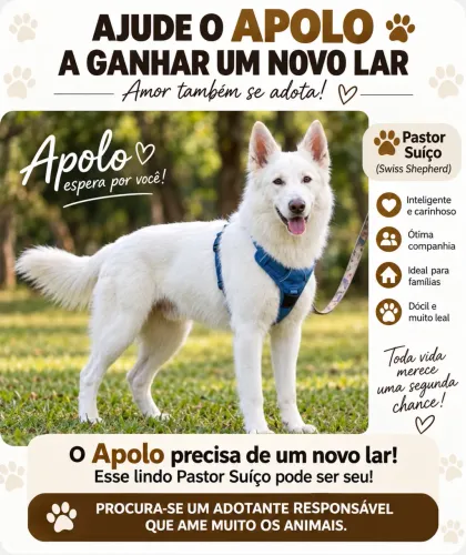 Apolo procura uma família!