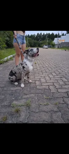 Pit monster 