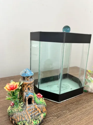 Aquário para Beta com decoração