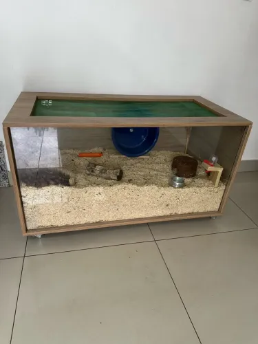 Terrário para hamster 100x50x50 cm
