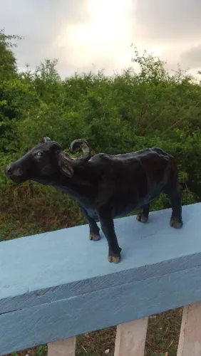 Escultura de Bufalo Murrah