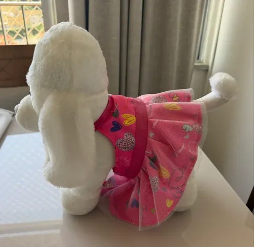 Cachorro Poodle Criamigos com vestido