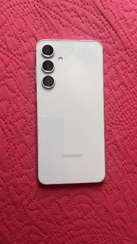 S24fe