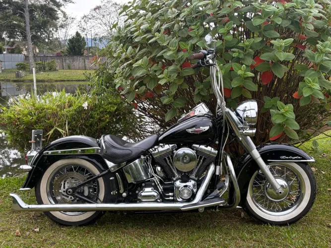 Harley Davidson - Softail Deluxe Chicana
