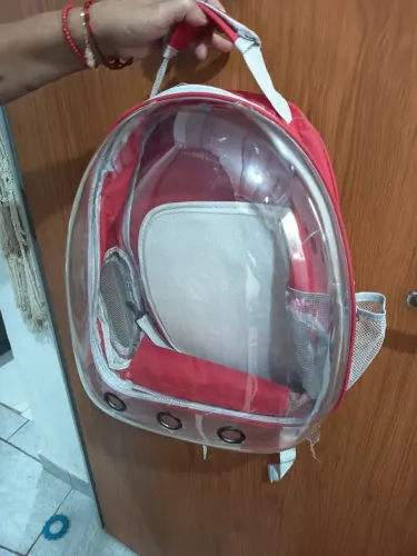 Mochila de passeio para cachorro