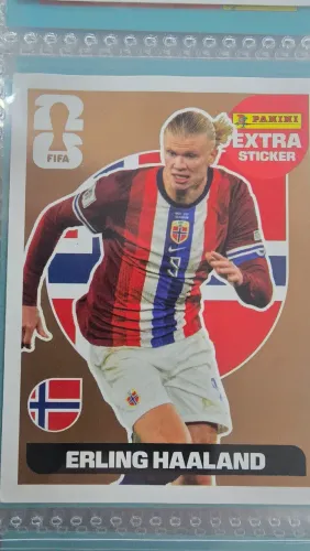 Haaland Bronze legend