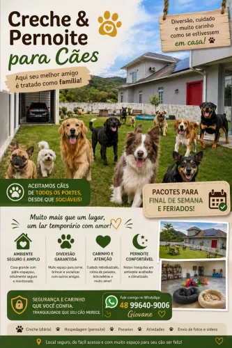 Creche e Hospedagem para Cães com Espaço Amplo e Muito Carinho!