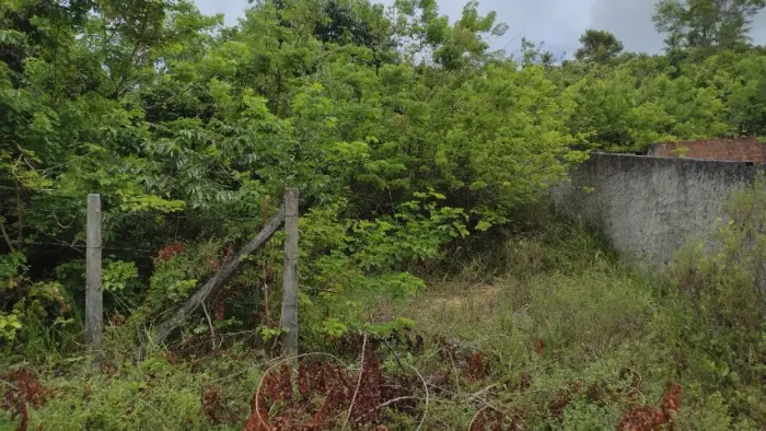 Terreno próximo a praia de Mangue Seco 10x20m