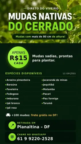 Mudas Nativas do Cerrado