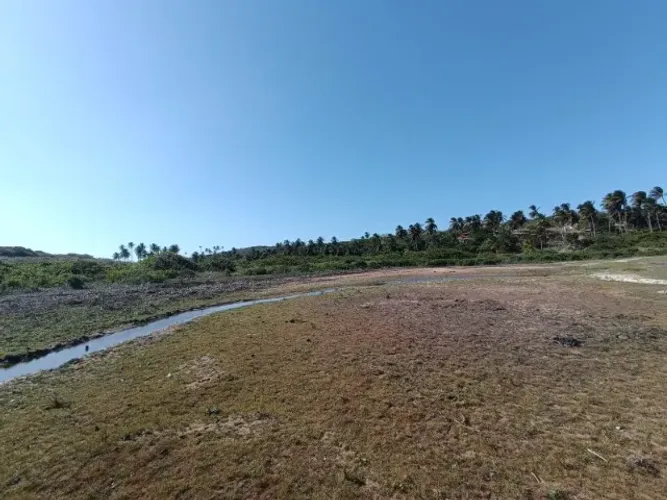 Vendo terreno de 4 hectares na beira do Rio Anil entre Taíba e Paracuru