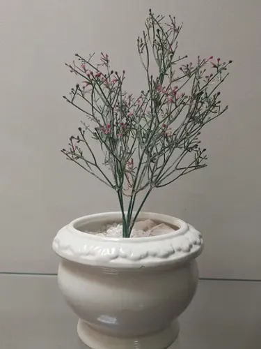 Jarro de flores 