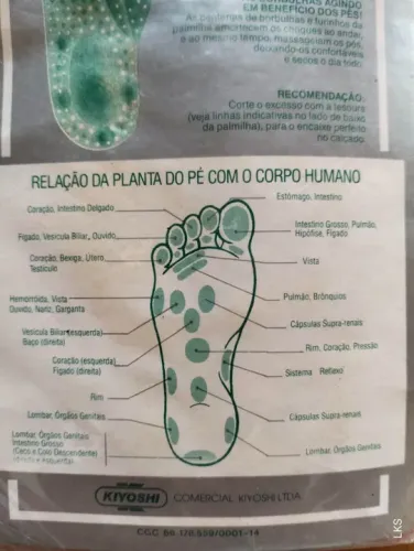 Palmilha magnética (dores nos pês e nas pernas).