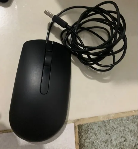 Mouse Dell novo