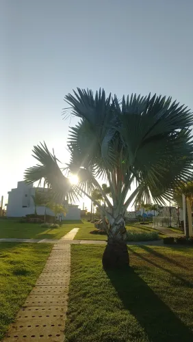 Lote no Jardim das Tulipas 