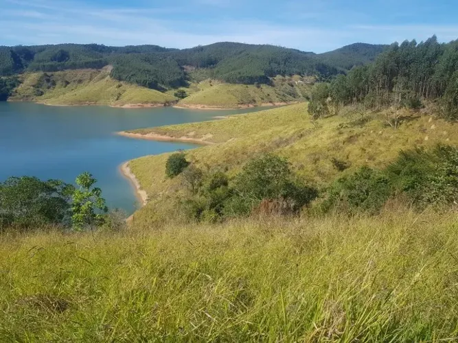 Fazenda de eucaliptos espetacular a venda no estado de São Paulo!!!!!