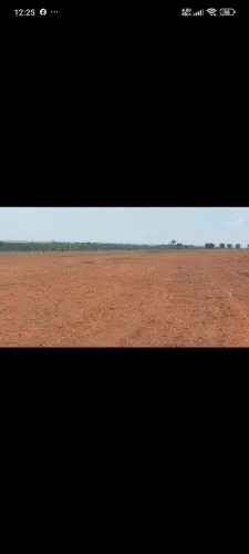 Fazenda arrendamento 4.717 hec planta são José do xingu MT. Argila 25% a 35%