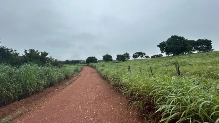 vendo ou troco fazenda região de nossa senhora do livramento