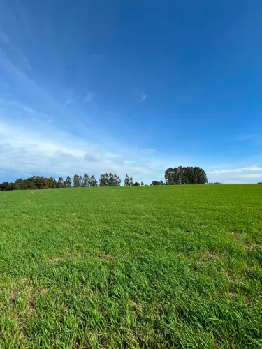 Área de 10,5 alqueires a 02 km da br 277