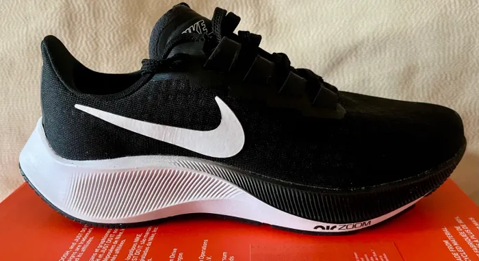 Tênis Nike Pegasus 37