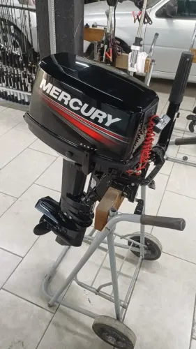 motor 8 ph mercury prontra entrega
