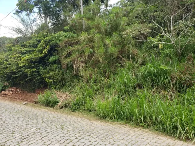 Terreno- Petrópolis, Independência