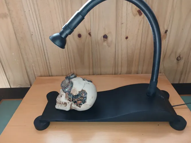 Luminaroa Skull