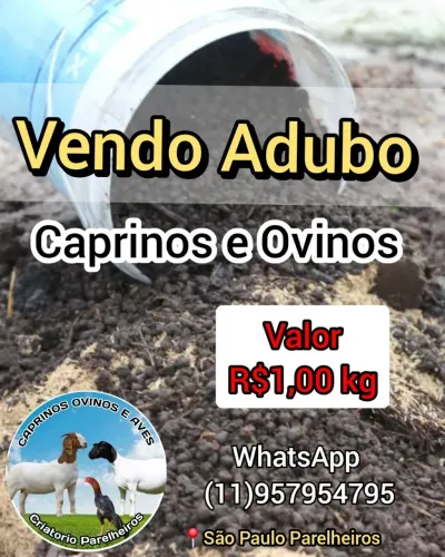 Esterco de Cabra/Ovelha Parelheiros - Embu Guaçu 